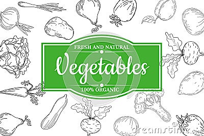 Organic vegatables anf fruits design poster. Hand drawn doodles illustration fresh healthy food. Vector sketch retro Vector Illustration