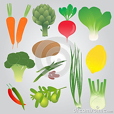 Organic Vegetables Collection Vector Illustration