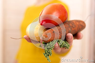 Organic vegetables. Woman`s hands with freshly harvested vegetab Stock Photo