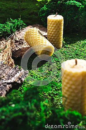 Organic wax hand made honeycomb roll. Natural candles on green moss. Aroma, beauty zero waste Stock Photo