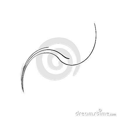 Organic weed, grass like curvy, wavy lines Vector Illustration