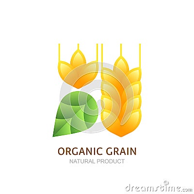 Organic wheat grain logo, icon, label design elements. Vector Illustration