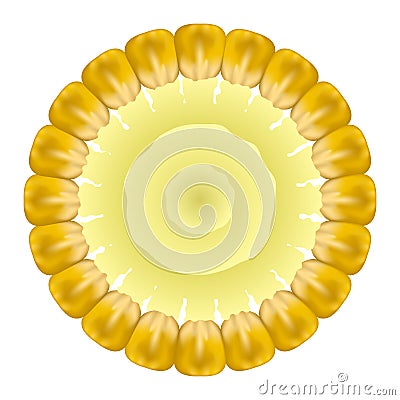 Organic Yellow Fresh Corn. Natural Gold Sweet Food. Summer Golden Vegetarian Sweetcorn Texture. Seed Ornament. Vector Illustration