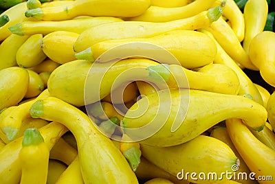 Organic Yellow Squash Stock Photo