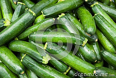 Organic Zucchini Squash Stock Photo