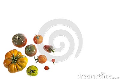 Organically grown ancient variety of tomatoes on white with copy space Stock Photo