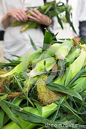 Organically grown corn at farmers market Stock Photo