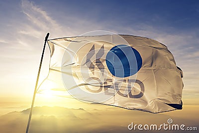 Organisation for Economic Co-operation and Development OECD flag textile cloth fabric waving on the top sunrise mist fog Editorial Stock Photo