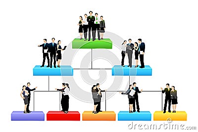 Organisation tree with different hierarchy level Vector Illustration