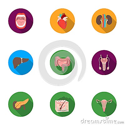 Organs set icons in flat style. Big collection of organs vector symbol stock illustration Vector Illustration