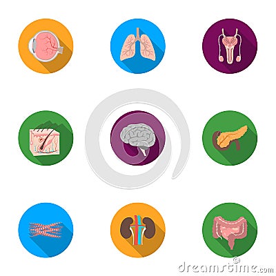 Organs set icons in flat style. Big collection of organs vector symbol stock illustration Vector Illustration