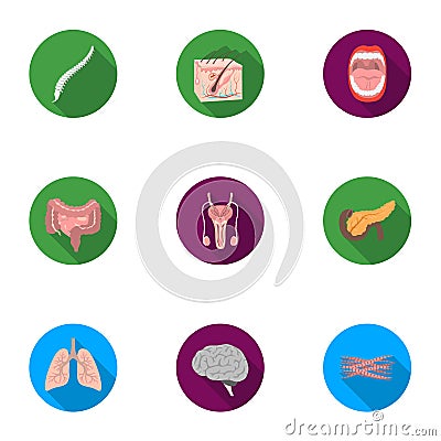 Organs set icons in flat style. Big collection of organs vector symbol stock illustration Vector Illustration