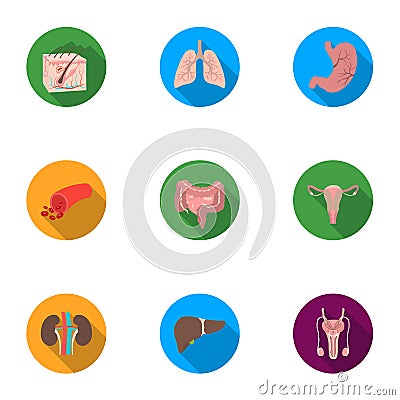 Organs set icons in flat style. Big collection of organs vector symbol stock illustration Vector Illustration