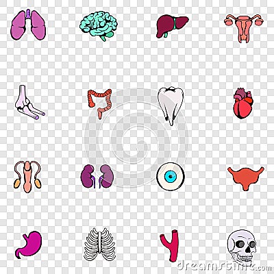 Organs set icons Vector Illustration