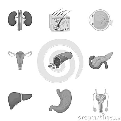 Organs set icons in monochrome style. Big collection of organs vector symbol stock illustration Vector Illustration