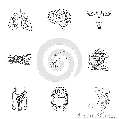 Organs set icons in outline style. Big collection of organs vector symbol stock illustration Vector Illustration
