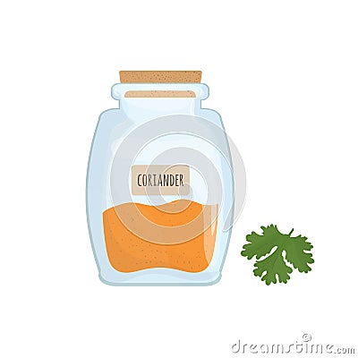 Oriander seeds stored in glass jar on white background. Aromatic herb, food spice or condiment, cooking Vector Illustration