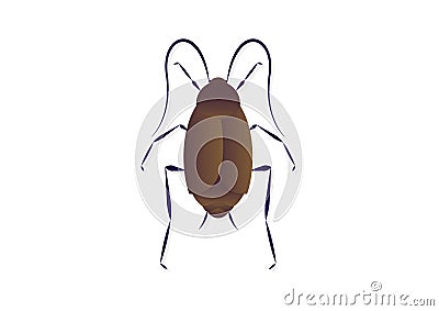 Oriental Cockroach Vector Art isolated on White Background Stock Photo