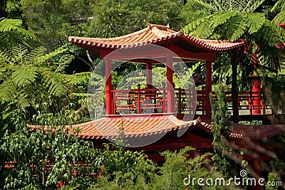 Oriental garden, Madeira Stock Photo