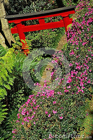 Oriental garden. Madeira Stock Photo