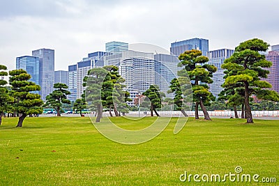 Oriental park in Tokyo Stock Photo