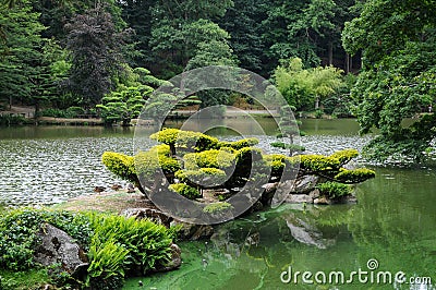 Oriental park with wunderful trees Stock Photo