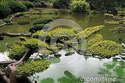 Oriental park with wunderful trees Stock Photo