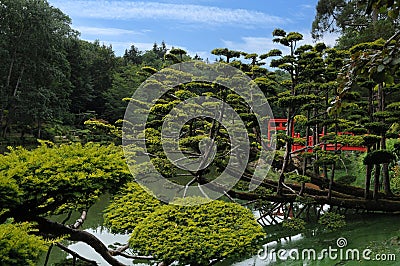 Oriental park with wunderful trees Stock Photo