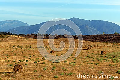 oriental plain of Corsica Stock Photo