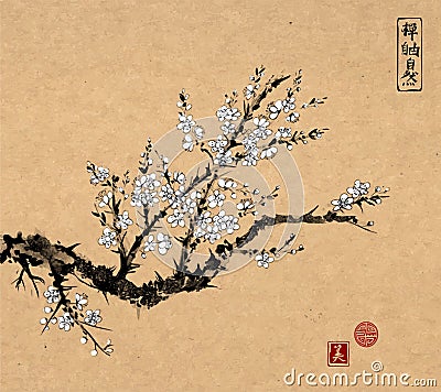 Oriental sakura cherry tree in blossom on vintage background. Traditional oriental ink painting sumi-e, u-sin, go-hua. Vector Illustration