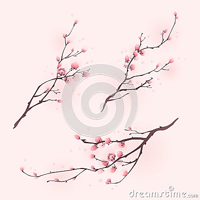 Oriental style painting, cherry blossom in spring Vector Illustration