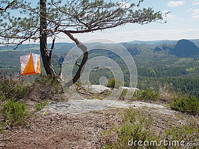 . Orienteering white orange flag in forest within local run Stock Photo