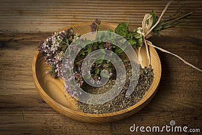 Origanum vulgare oregano herb - spice Stock Photo