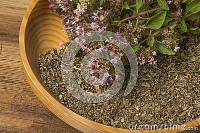 Origanum vulgare oregano herb - spice Stock Photo