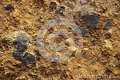 Original background from brown earth with stones Stock Photo