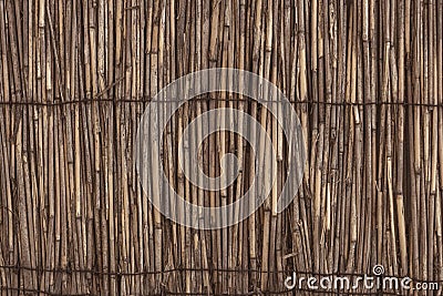 Original background of dry cane Stock Photo