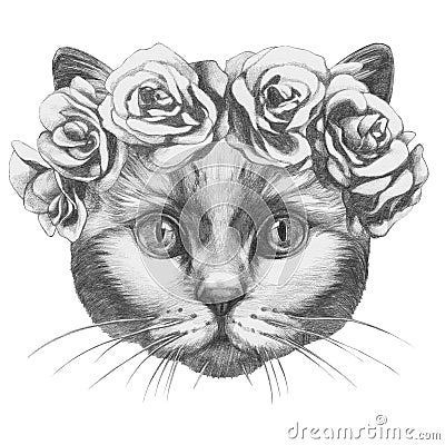 Original drawing of Cat with roses. Stock Photo