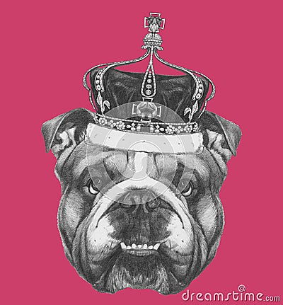 Original drawing of English Bulldog with crown. Stock Photo