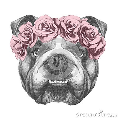 Original drawing of English Bulldog with floral head wreath. Stock Photo