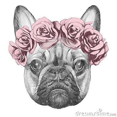 Original drawing of French Bulldog with roses. Stock Photo