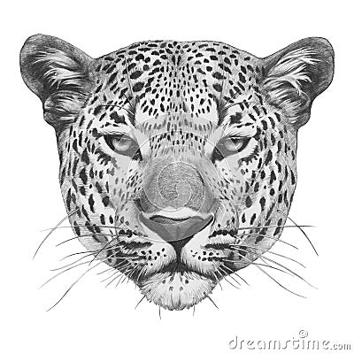 Original drawing of Leopard. Stock Photo