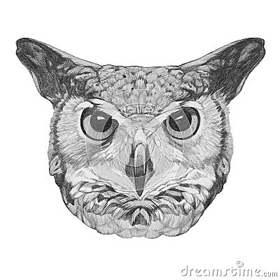 Original drawing of Owl. Stock Photo