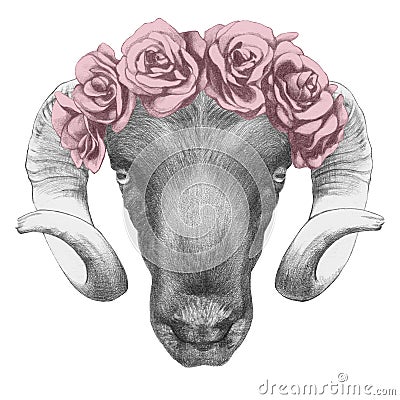 Original drawing of Ram with roses. Stock Photo