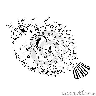 Original drawing of spine porcupine fish Stock Photo