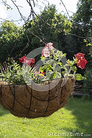 Original flowerpot with flowers hanging at the entrance to the house Stock Photo