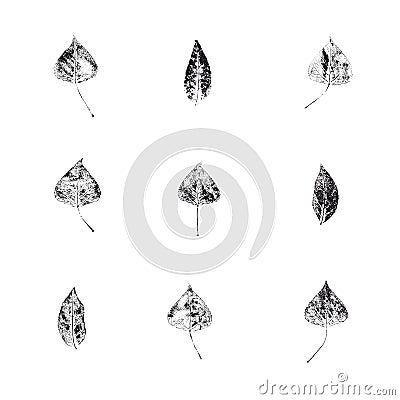 Original nature print Stock Photo