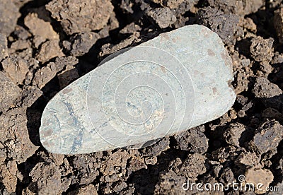 Original neolithic stone axe Stock Photo