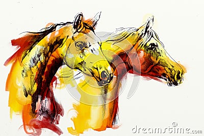 Original oil painting of a fine arabian horse funny artwork Cartoon Illustration