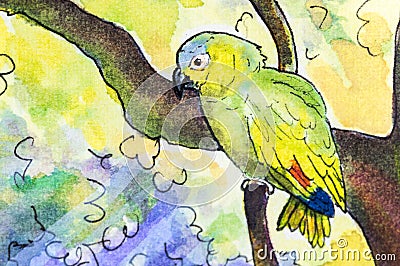 Original painting of an Amazon parrot Stock Photo