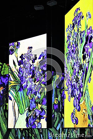 Multi-sensory exhibition in Poznan, Poland - Irises, painting of Vincent Van Gogh, Dutch Post-Impressionist painter Editorial Stock Photo